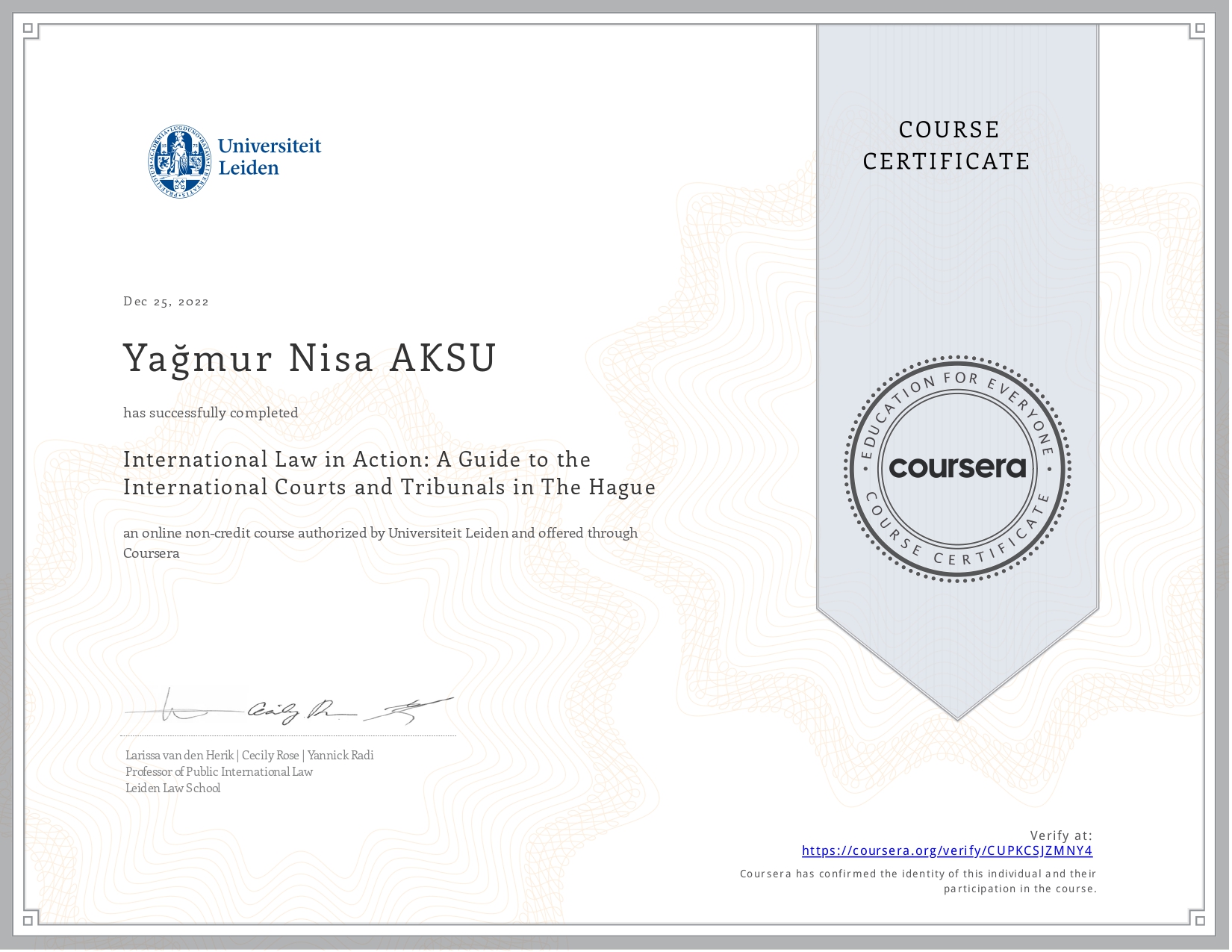 International Law in Action A Guide to the International Courts and Tribunals in The Hague